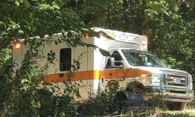 tree fell on man in warren county