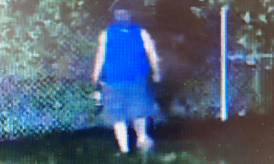 catalytic converter thief MDOT
