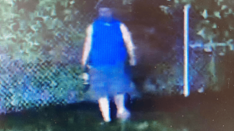 catalytic converter thief MDOT