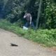 mhp trooper mccomb arrest
