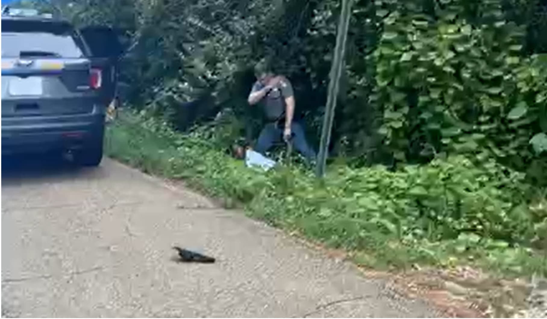 mhp trooper mccomb arrest