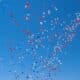 baloon release parade pastor bernard