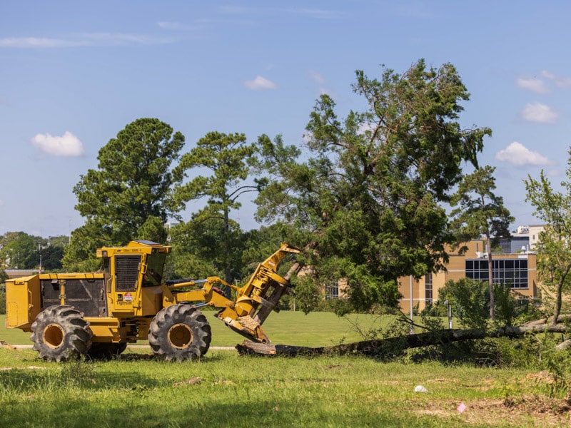 asylum hill project