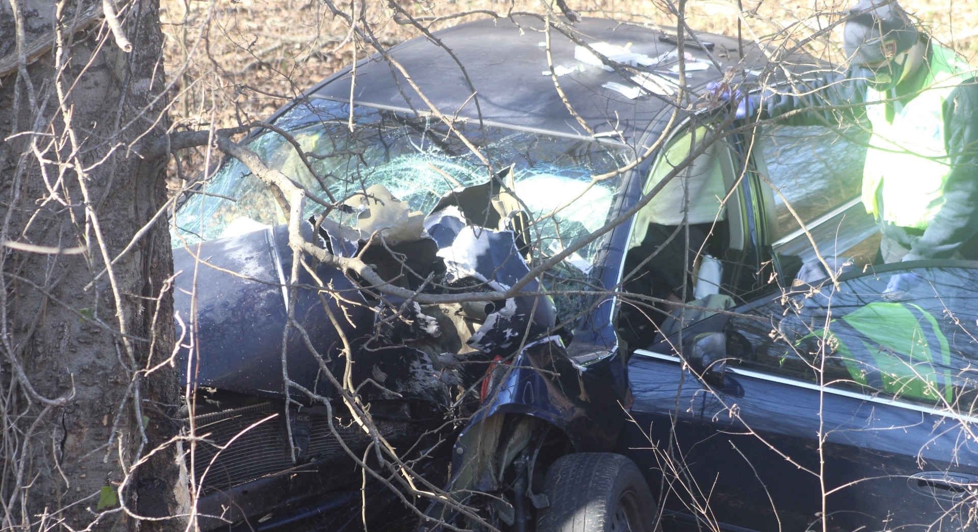Vehicle hit tree on Highway 61 North