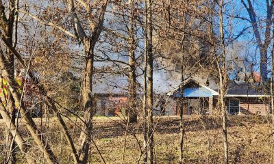 Fire jeff davis