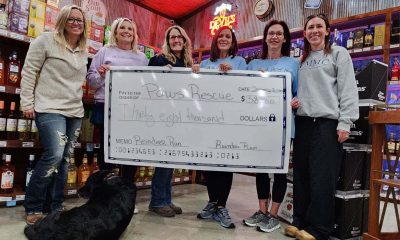 paws rescue