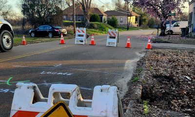 MLK Jr closed