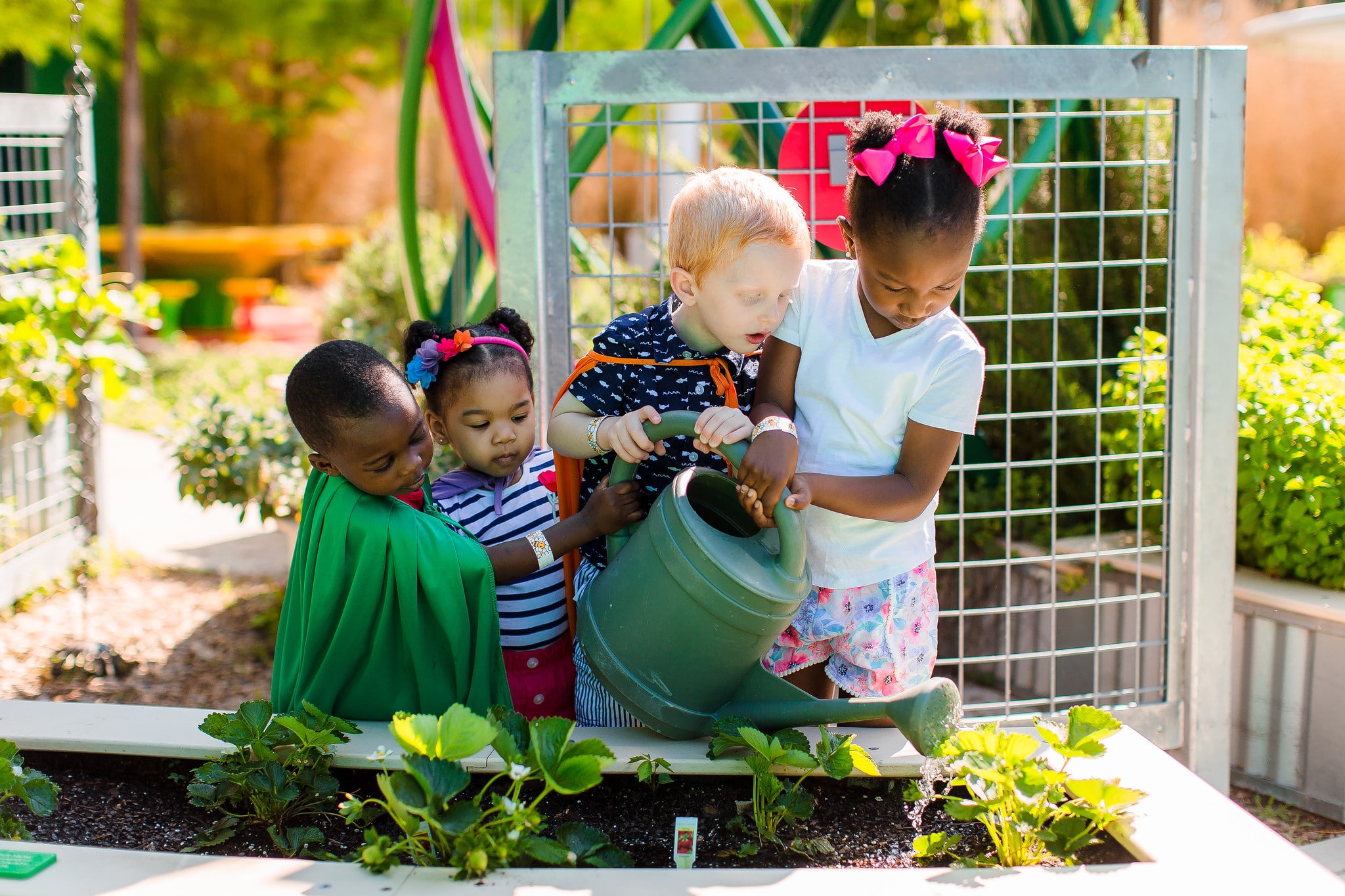 mississippi Children's Museum