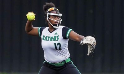 Vhs softball