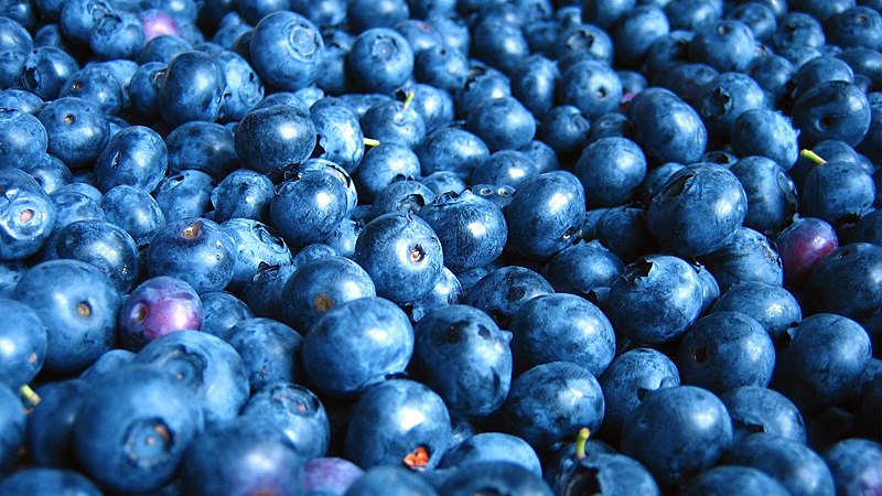blueberry state fruit of mississippi
