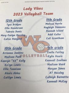 WC volleyball