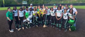 VHS softball