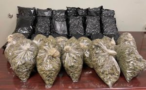 Weed