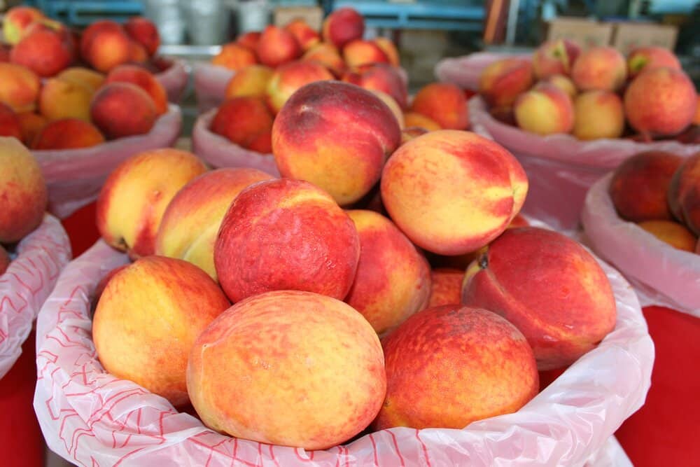 louisiana peach festival