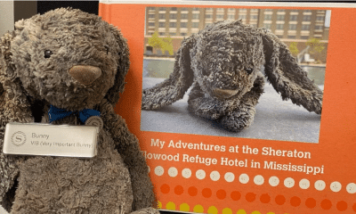 hotel bunny