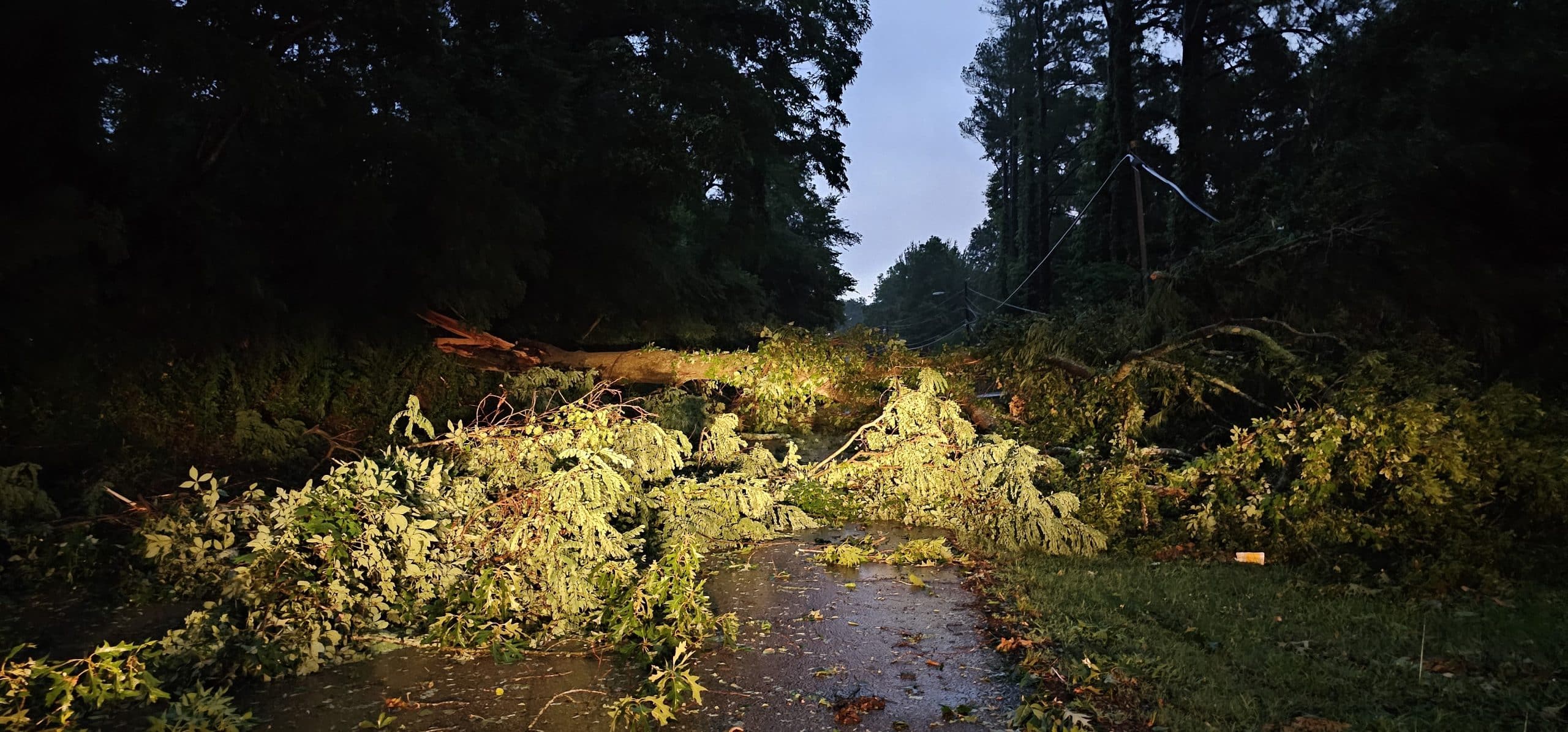 storm damage