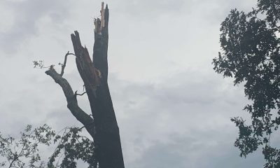 ef1 tornado lisa
