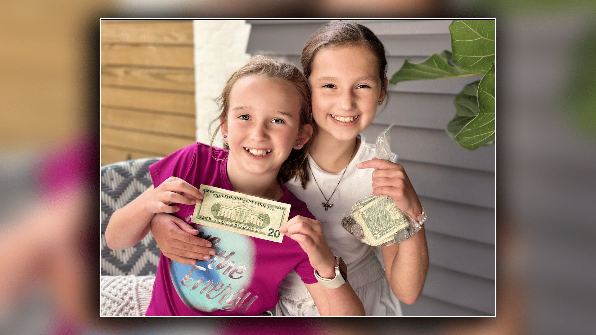 our southern souls stray animals