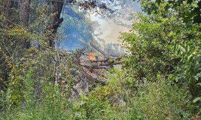 brush fire