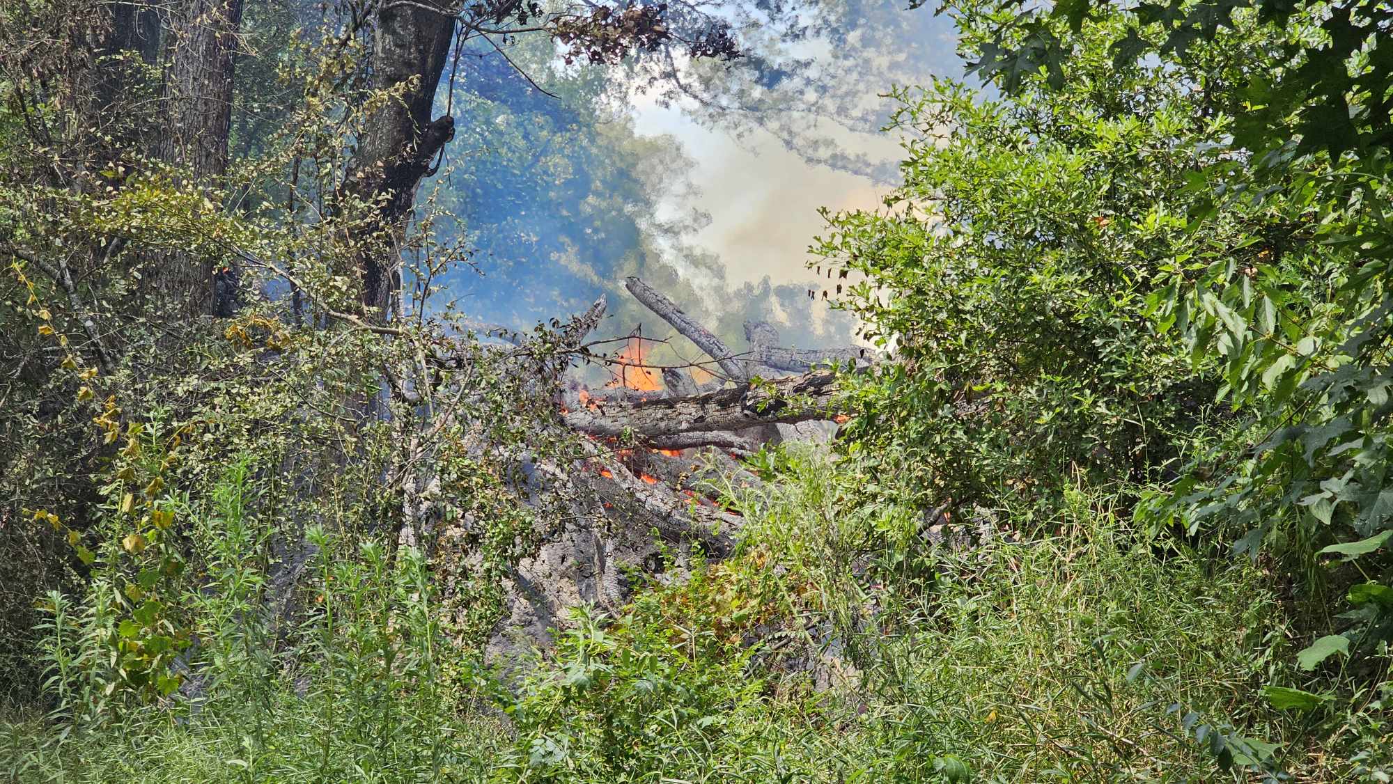 brush fire