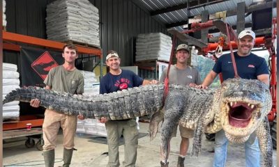 Alligator hunters