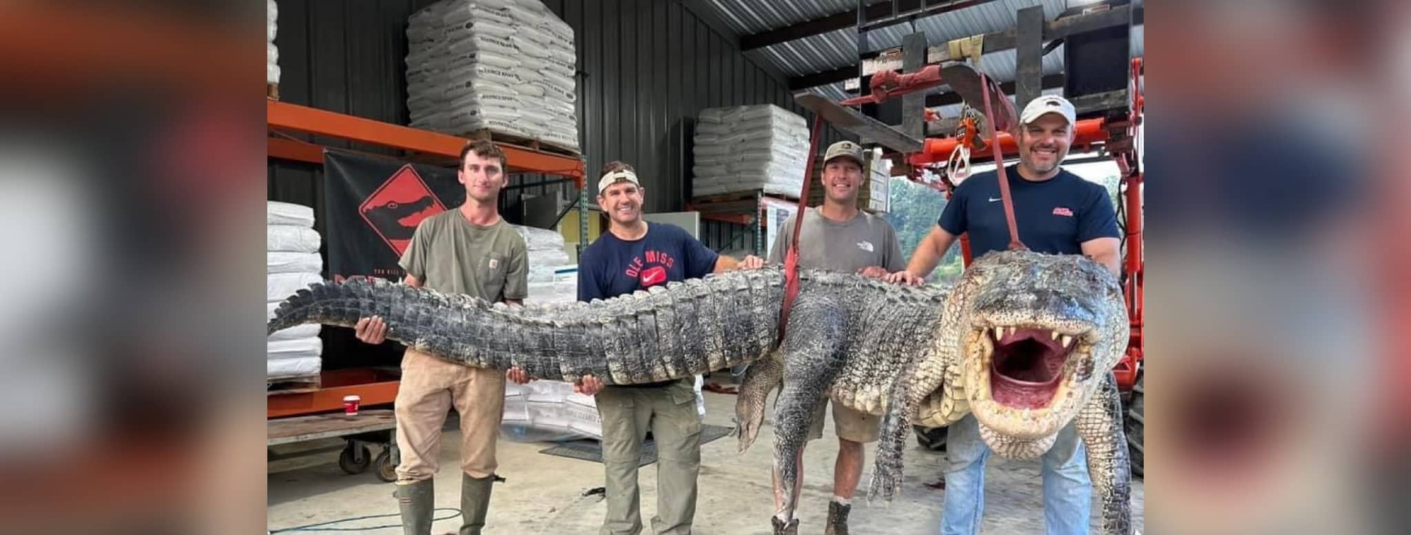 Alligator hunters