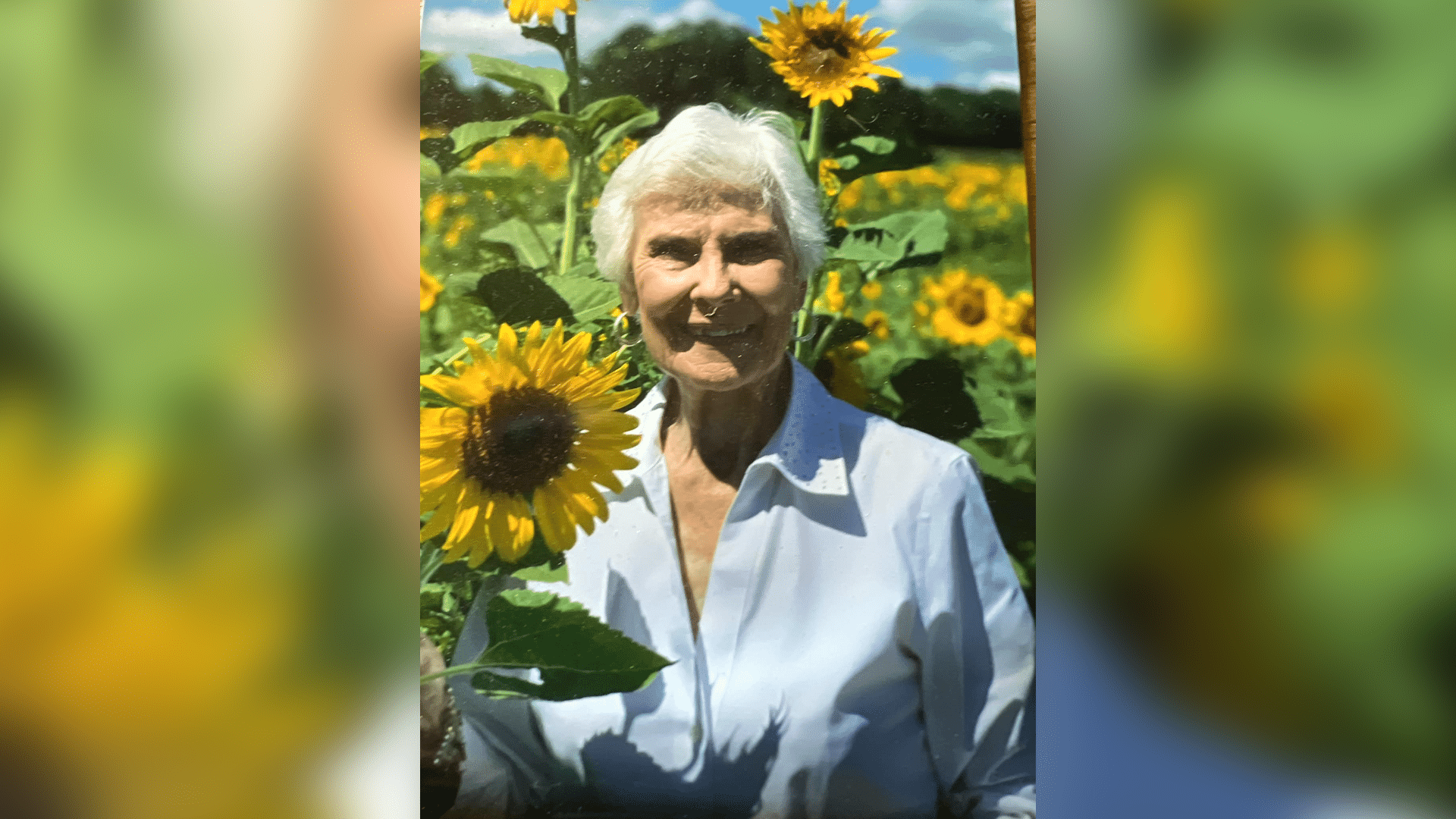 Donna Kay Musil Schreiner