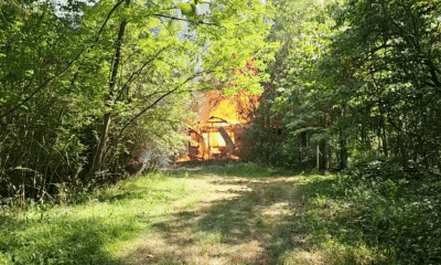 Mt. Alban fire