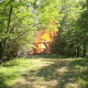 Mt. Alban fire