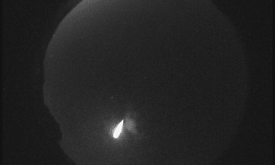 nasa perseids fireball