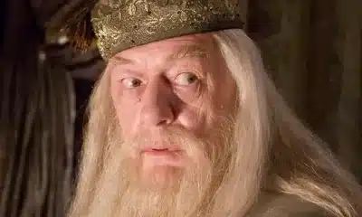 Michael Gambon as Albus Dumbledore