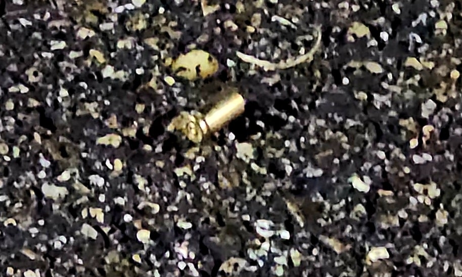 shot superior crab