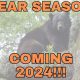 bear hunting