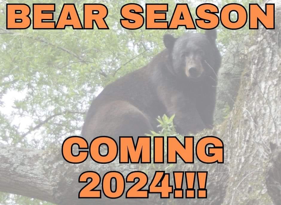bear hunting