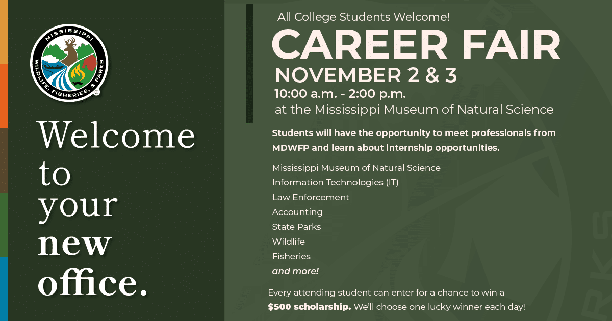 mdwfp career fair