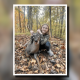 Avery's first buck