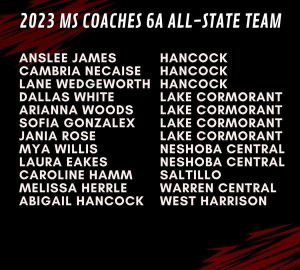6A Team