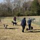 This group of UMMC doctors volunteered for a day with the dogs of the Mississippi Animal Rescue League.