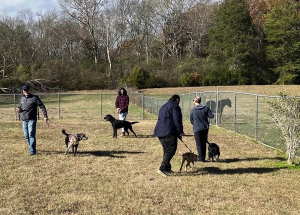 This group of UMMC doctors volunteered for a day with the dogs of the Mississippi Animal Rescue League.