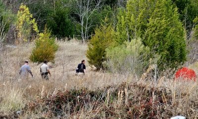 homeless hunt