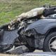 warrenton mvc