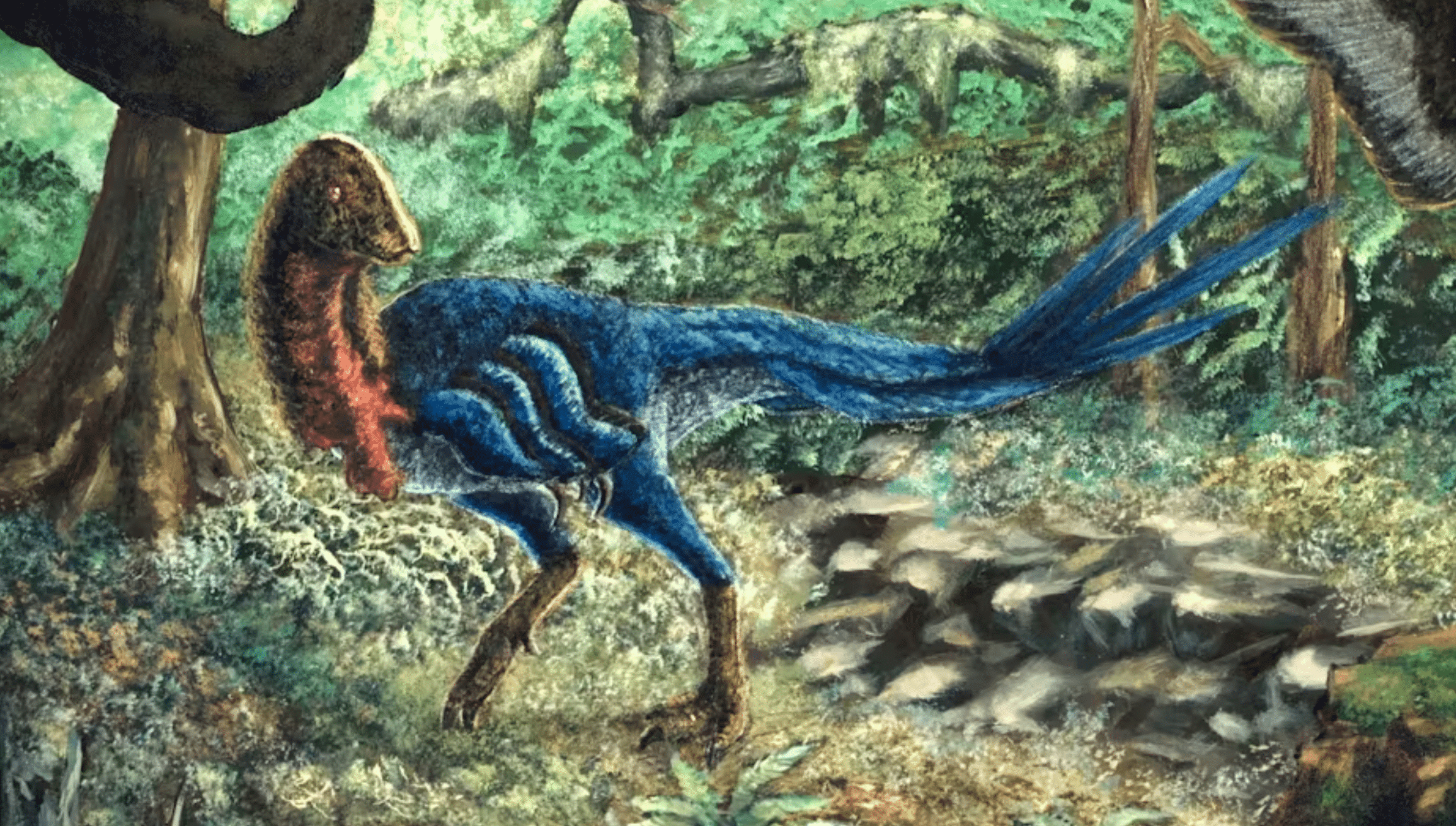 eoneophron infernalis