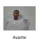 Avante