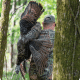 turkey season