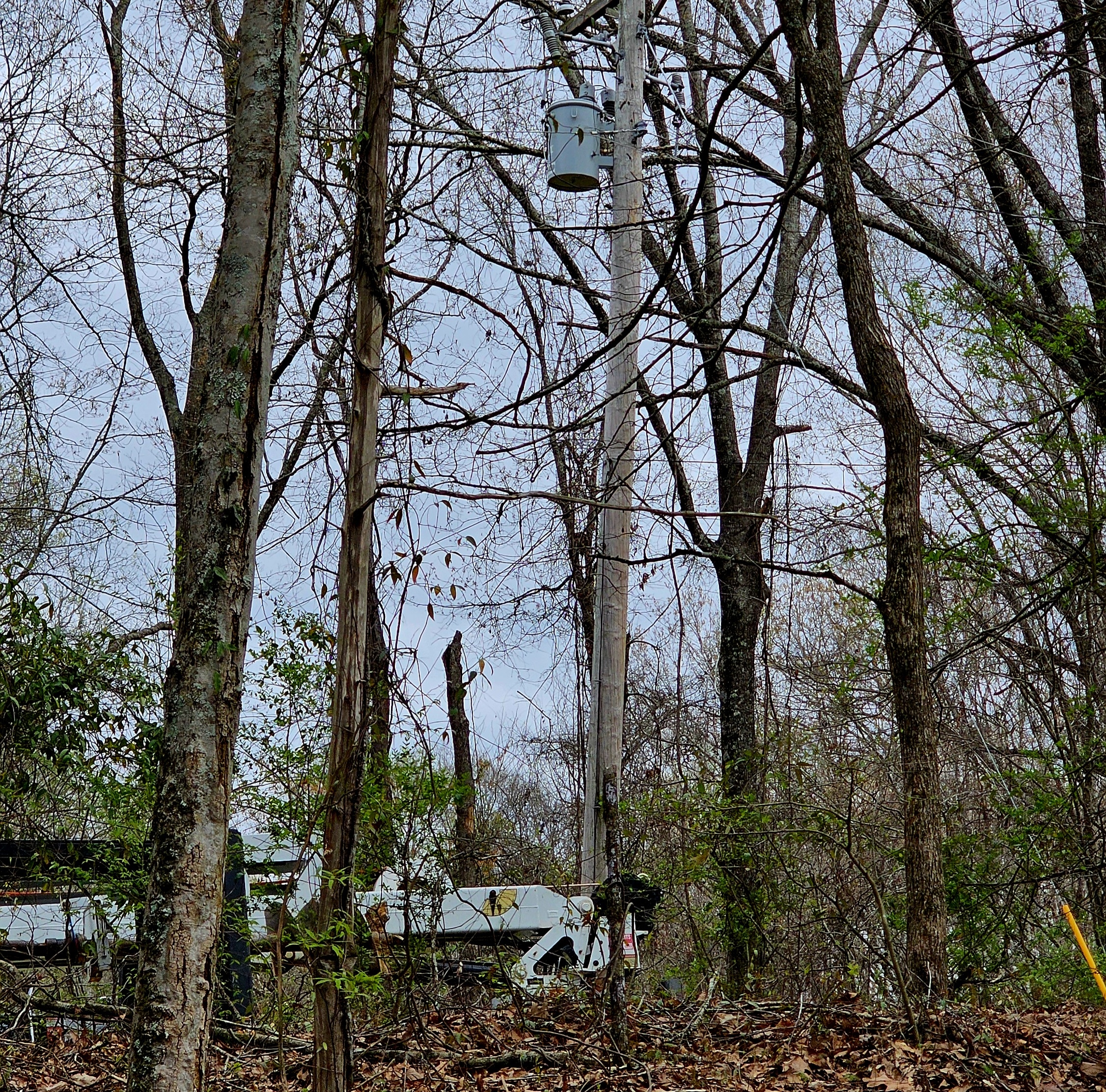 lineman electrocuted