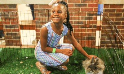 The Mississippi Children’s Museum Celebrates Spring with Bunnies & Butterflies
