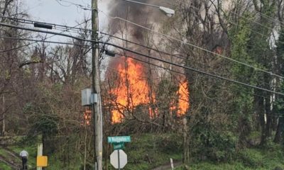 fire greenview